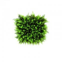 Растения Natural Touch >> ICNT 11487 - Flori artificiale