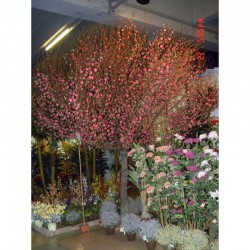 Растения Natural Touch >> ICNT 16439 - Flori artificiale