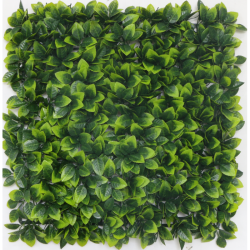 Растения GREEN WALL >> ICNT 125050 - Decorațiuni