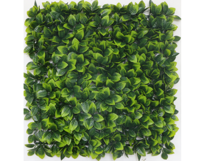 Растения GREEN WALL >> ICNT 125050