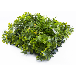 Растения GREEN WALL >> ICNT 135050 - Decorațiuni
