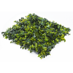 Растения GREEN WALL >> ICNT 145050 - Decorațiuni