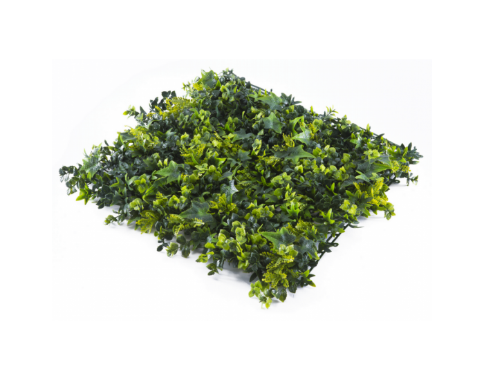 Растения GREEN WALL >> ICNT 145050