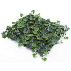 Растения GREEN WALL >> ICNT 155050 - Decorațiuni