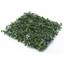 Растения GREEN WALL >> ICNT 165050 - Decorațiuni
