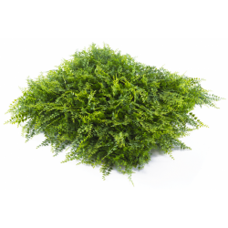 Растения GREEN WALL >> ICNT 175050 - Flori artificiale