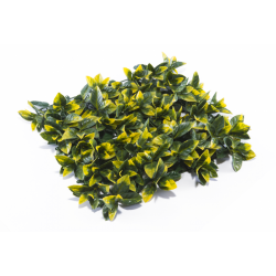Растения GREEN WALL >> ICNT 195050 - Flori artificiale