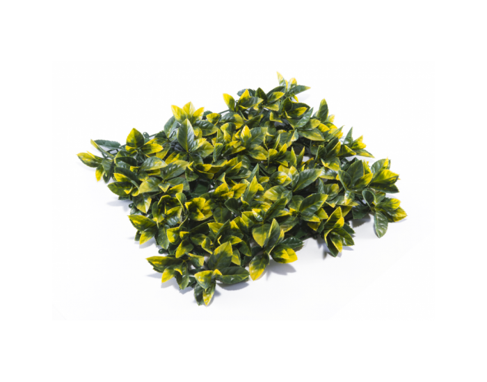 Растения GREEN WALL >> ICNT 195050