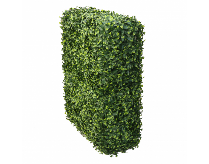 Растения GREEN WALL >> ICNT 197525