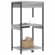 Sonata Dulap de noapte Gri Sonoma 41 x 31 x 76 cm Lemn prelucrat