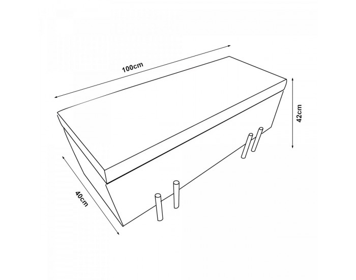 Кадифена ракла Dals 100x40x42 см кафява []