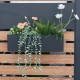 Кутия за цветя Achtkarspelen 50x12x15см антрацит []