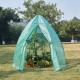 Оранжерия Hunze 200x240cm Green []