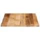 Sonata Blat de masă contur natural 60x60x3,8 cm lemn masiv mango brut