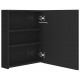 Sonata H LED шкаф с огледало за баня, сияйно черно, 50x14x60 см