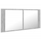 Sonata H LED шкаф с огледало за баня, бетонно сив, 100x12x45 см, акрил