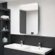 Sonata H LED шкаф с огледало за баня, сияйно сиво, 60x11x80 см