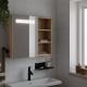 Sonata Dulap cu oglindă de baie cu LED, stejar deschis, 60x13x52 cm