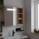 Sonata H Огледален шкаф за баня с LED светлина, дъб, 60x13x52 см