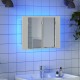 Sonata Dulap de baie cu oglindă și LED, alb, 60x12x45 cm acril
