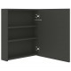 Sonata H LED шкаф с огледало за баня, антрацит, 50x14x60 см