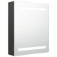 Sonata H LED шкаф с огледало за баня, антрацит, 50x14x60 см