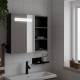 Sonata H Огледален шкаф за баня с LED осветление черен 60x13x52 см