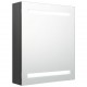 Sonata H LED шкаф с огледало за баня, сив, 50x14x60 см