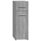 Sonata Dulap de farmacie, sonoma gri, 20x45,5x60 cm, lemn prelucrat