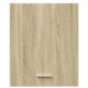 Sonata Dulap montat pe perete “Lyon” stejar sonoma 50x31x60 cm