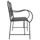 Sonata Bancă de grădină 2 -Seater 103,5 x 59 x 89 cm Oțel Negru