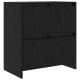 Sonata Bufet Stejar Negru 70 x 41 x 75 cm Lemn prelucrat