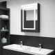 Sonata H LED шкаф с огледало за баня, сияйно черно, 50x13x70 см