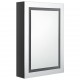 Sonata H LED шкаф с огледало за баня, сияйно черно, 50x13x70 см