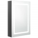 Sonata H LED шкаф с огледало за баня, сияйно сиво, 50x13x70 см