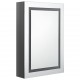 Sonata H LED шкаф с огледало за баня, сияйно сиво, 50x13x70 см