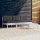 Sonata Set mobilier grădină cu perne antracit, 4 piese, lemn de pin