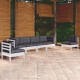 Sonata Set mobilier de grădină cu perne, 6 piese, lemn masiv de pin