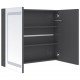Sonata H LED шкаф с огледало за баня, сияйно сиво, 80x12x68 см