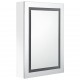 Sonata H LED шкаф с огледало за баня, сияйно бяло, 50x13x70 см