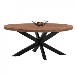 Маса Мебели Богдан модел Oval 210x100x78 - Mese de dining