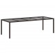 Sonata H Градинска маса за хранене Кафяво 250 x 100 x 75 см Полиратан