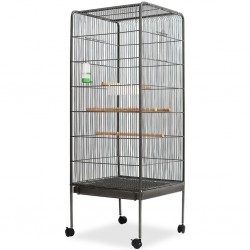 Sonata Клетка за птици, стомана, черна, 54x54x146 cм - Accesorii