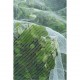 Nature Мрежа против насекоми срещу ябълков миниращ молец, 6030450