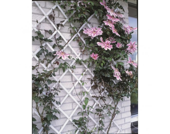 Nature Градинска пергола, 50x150 см, PVC, бяла, 6040701