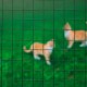 Nature Телена мрежа квадрат 0,5x2,5 м 13 мм стомана с пластмаса зелена