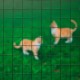 Nature Телена мрежа квадрат 1x5 м 13 мм стомана с пластмаса зелена