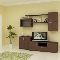 Секция Mira-dst, венге - Biblioteci