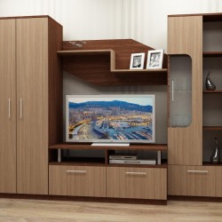 Секция Mirazh-dst, венге и дъб амбер - Biblioteci