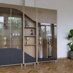 Холна секция с витрина и LED осветление Шумен, 225 см - Biblioteci